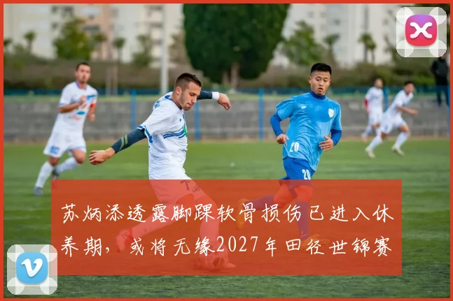 苏炳添透露脚踝软骨损伤已进入休养期，或将无缘2027年田径世锦赛